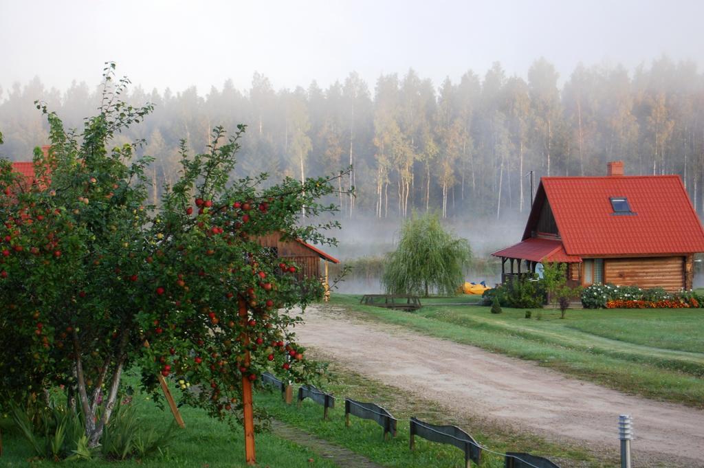 Hotel Viesu Nams Rukisi Rugaji Esterno foto
