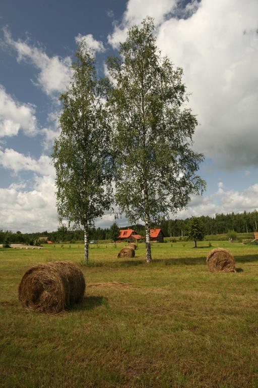 Hotel Viesu Nams Rukisi Rugaji Esterno foto